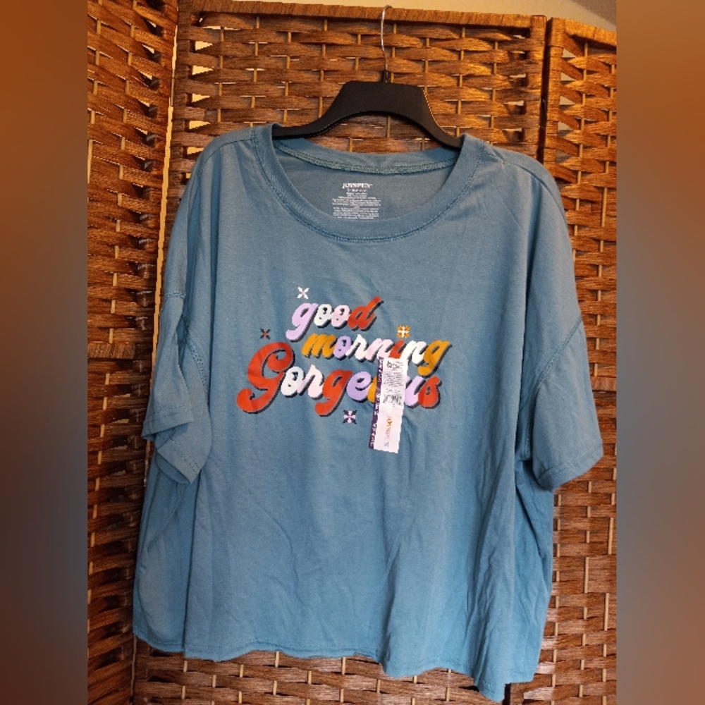 Joyspun Good Morning Gorgeous Boxy Cropped Sleep Shirt 2X